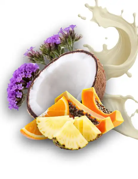 Creamy Coconut Clean Fragrance - Fragrances